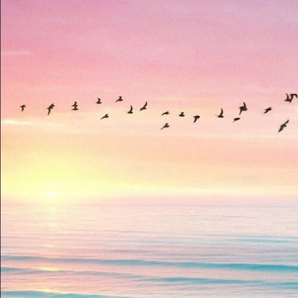 Meet your Posher, Sara - Picture 1 of 1